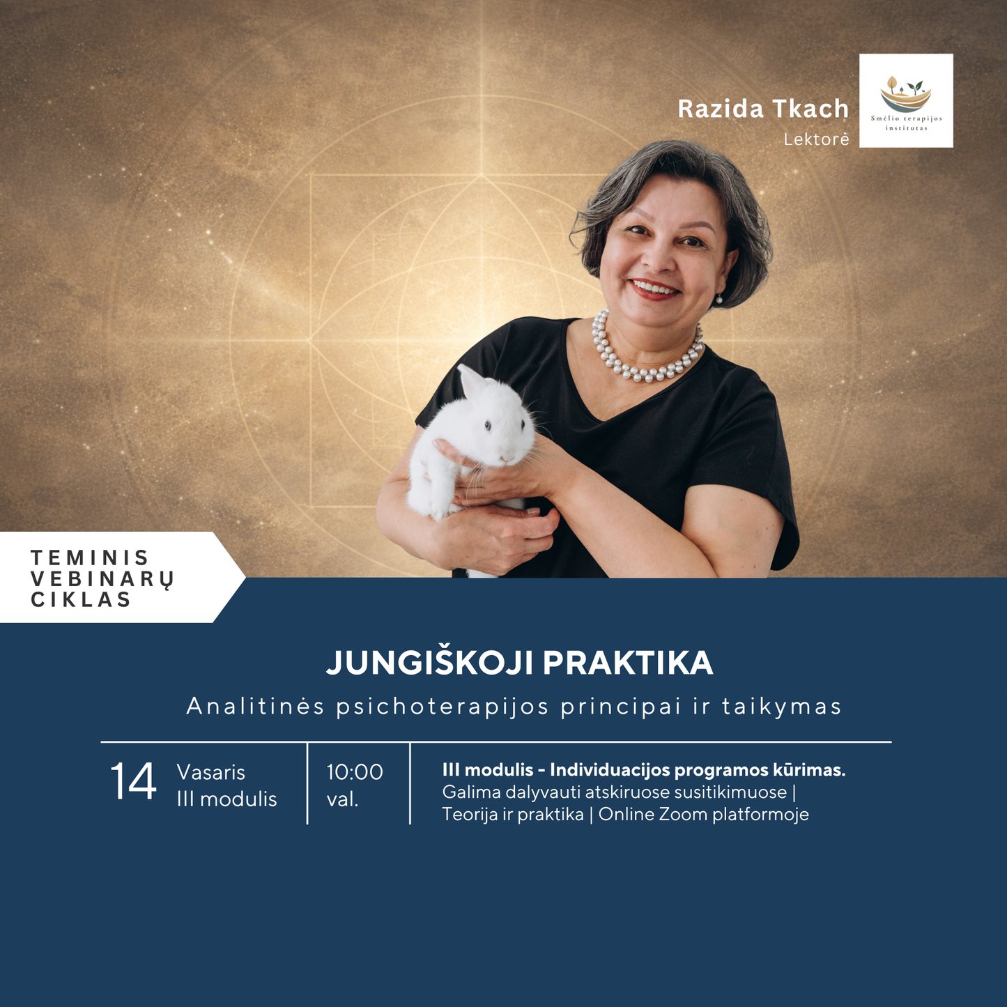 JUNGIŠKOJI PRAKTIKA III MODULIS