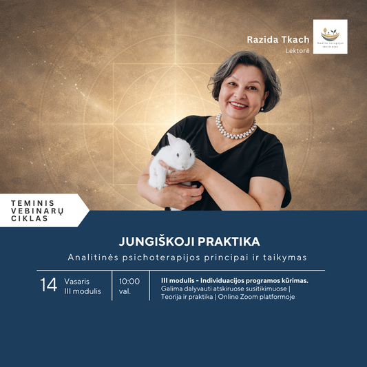 JUNGIŠKOJI PRAKTIKA III MODULIS