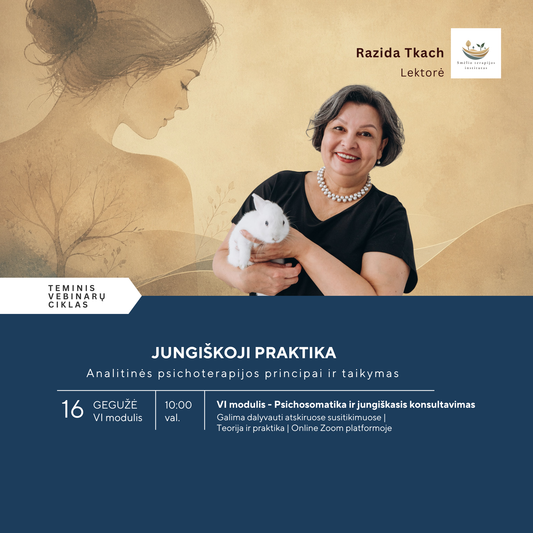JUNGIŠKOJI PRAKTIKA VI MODULIS