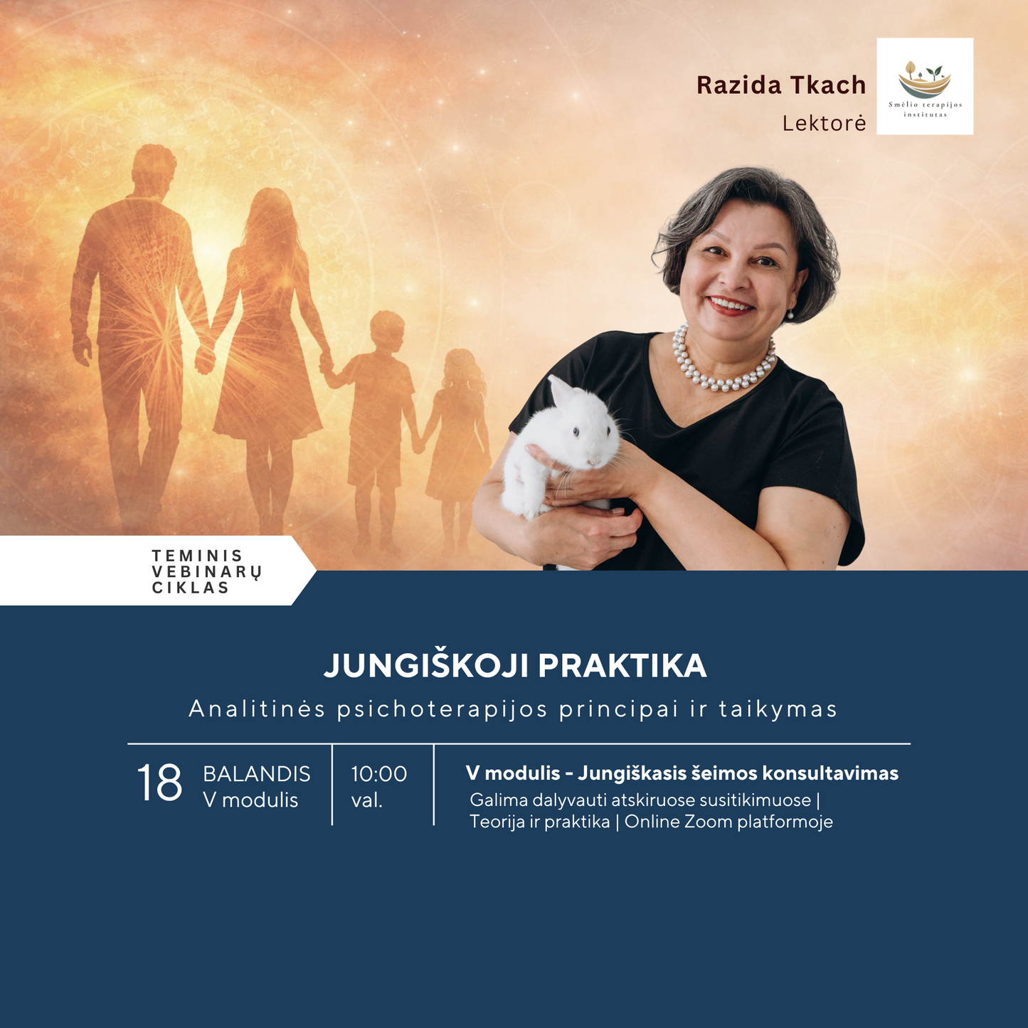 JUNGIŠKOJI PRAKTIKA V MODULIS