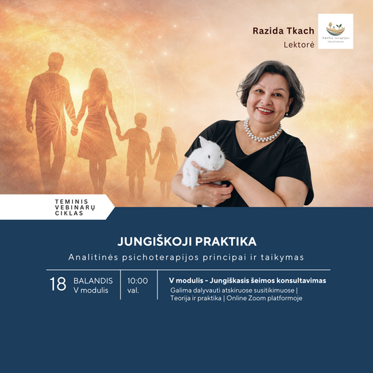JUNGIŠKOJI PRAKTIKA V MODULIS
